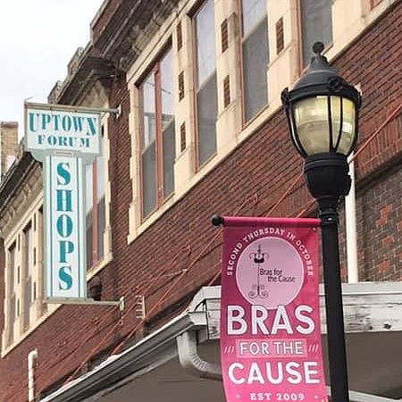 Bras for the Cause Hunt County